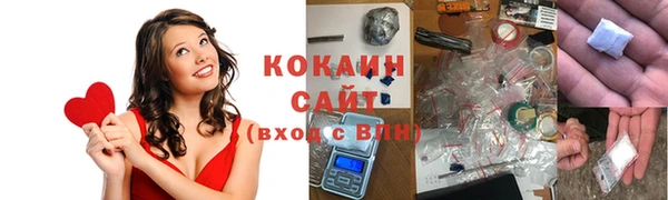 трава Сосновка