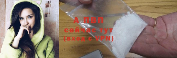 спайс Беломорск